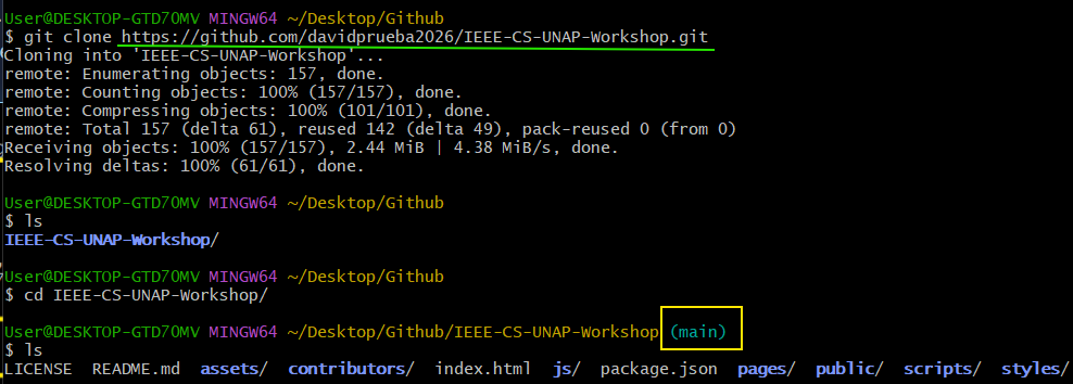 Paso 4: Configurar Git