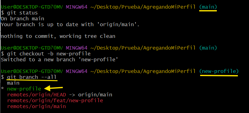 Paso 5: Crear nueva rama